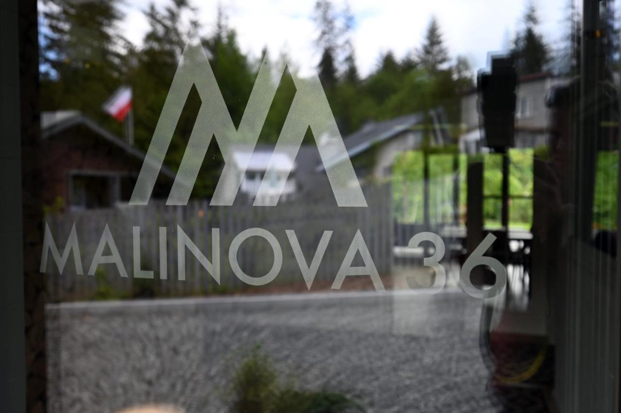 Malinova 36 Lejlighed Wisła Eksteriør billede