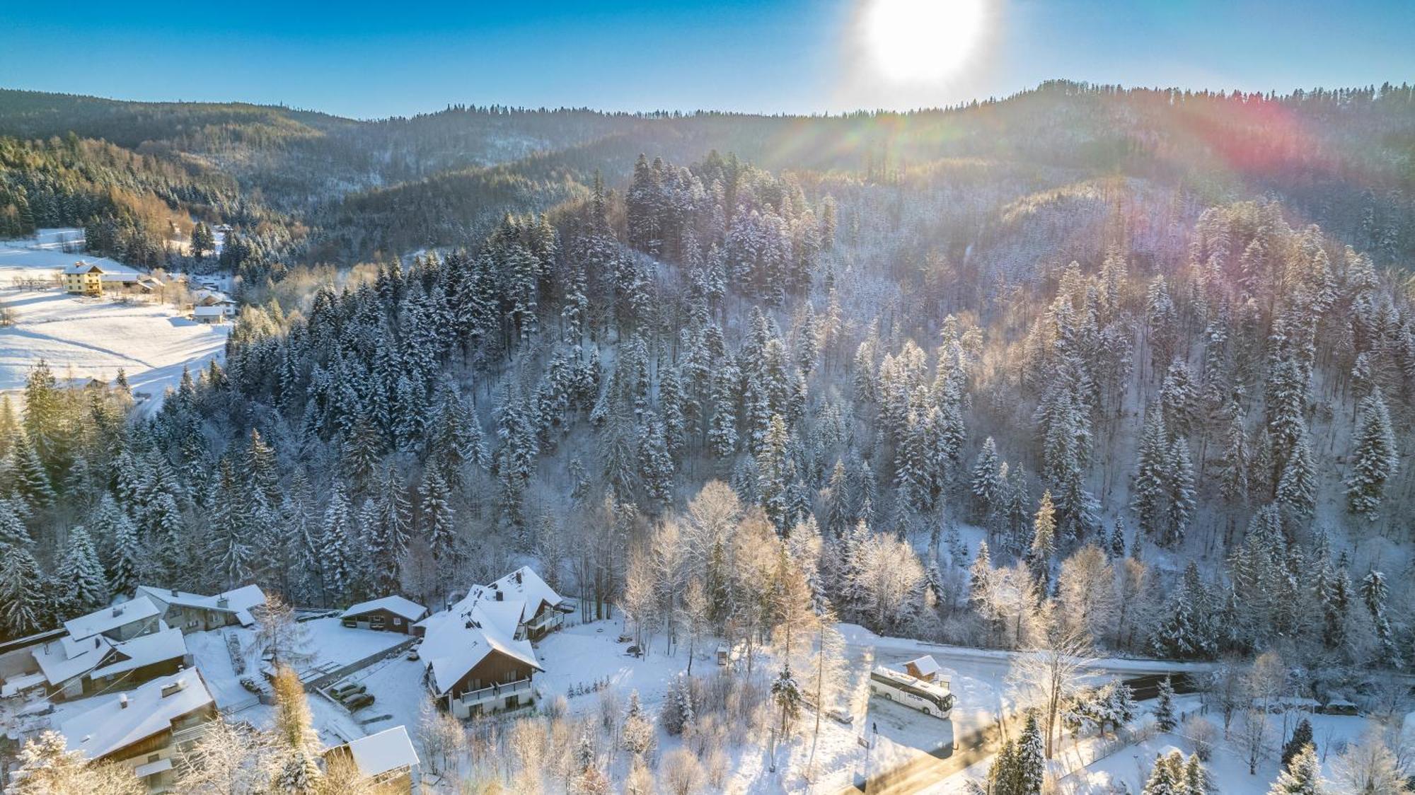 Malinova 36 Lejlighed Wisła Eksteriør billede